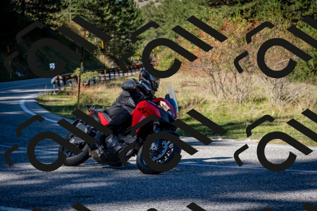 202510041203-DSC_7588_c2