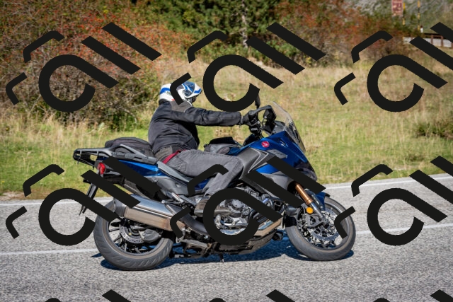 202510041204-DSC_7593_c2