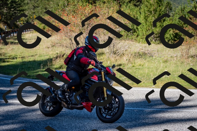 202510041204-DSC_7595_c2