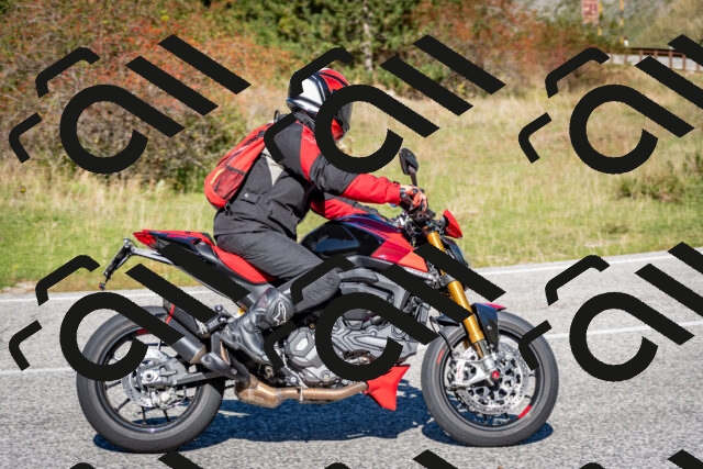 202510041204-DSC_7596_c2