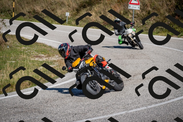 202510041205-DSC_7597_c2