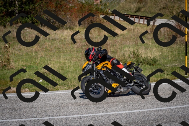 202510041205-DSC_7598_c2