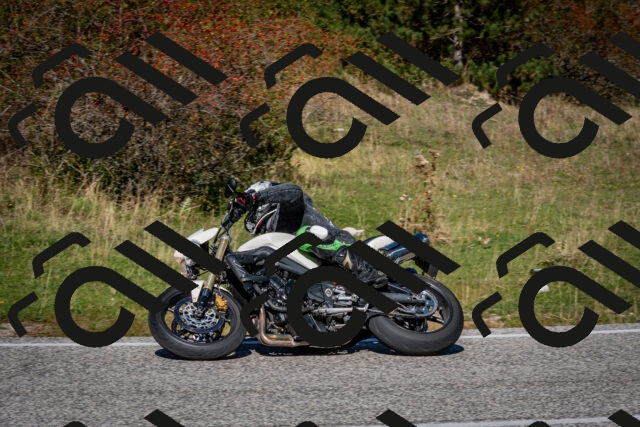 202510041205-DSC_7599_c2