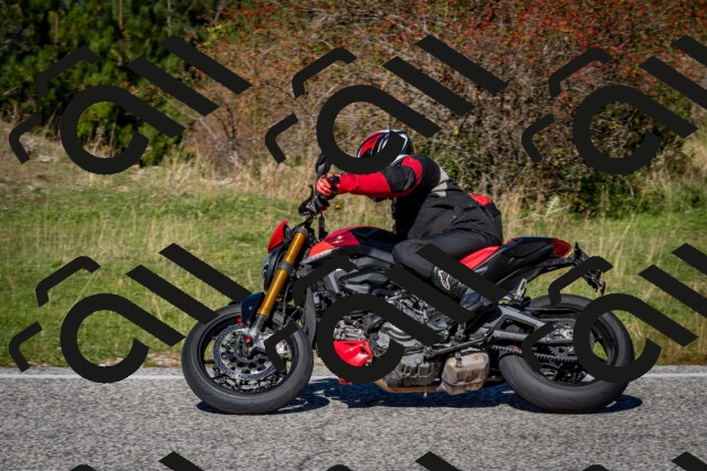 202510041206-DSC_7603_c2