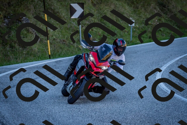 202510041207-DSC_7604_c2