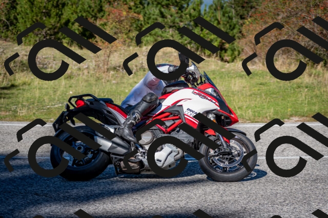 202510041210-DSC_7607_c2