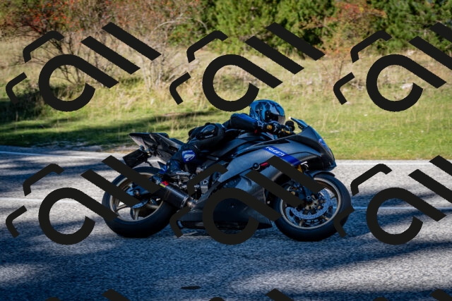 202510041210-DSC_7609_c2