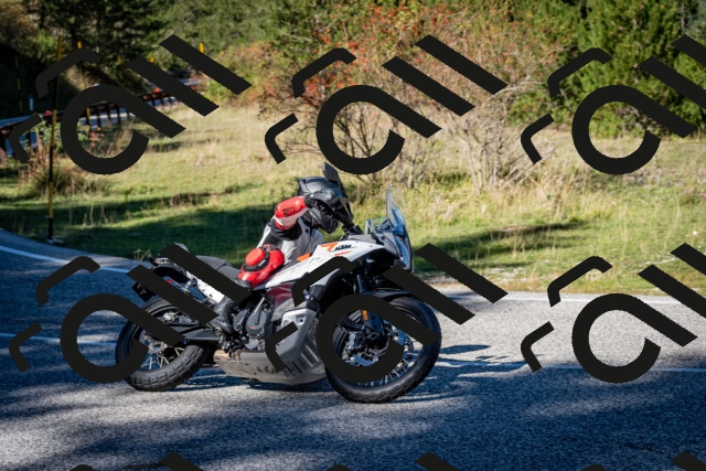 202510041210-DSC_7611_c2