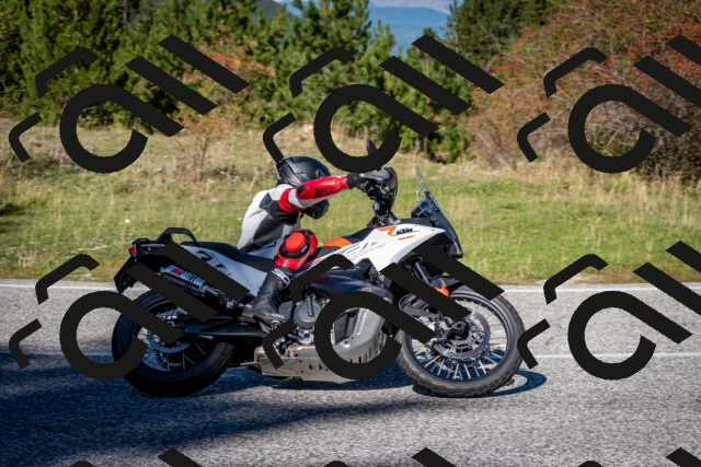 202510041210-DSC_7612_c2