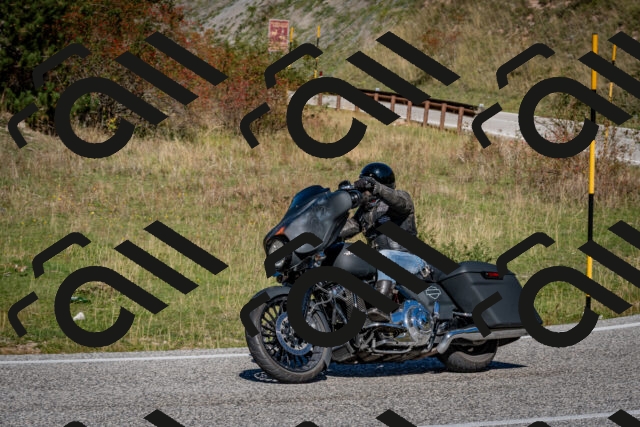 202510041211-DSC_7623_c2