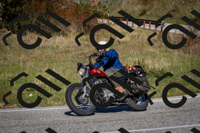 202510041211-DSC_7625_c2