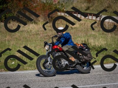 202510041211-DSC_7625_c2