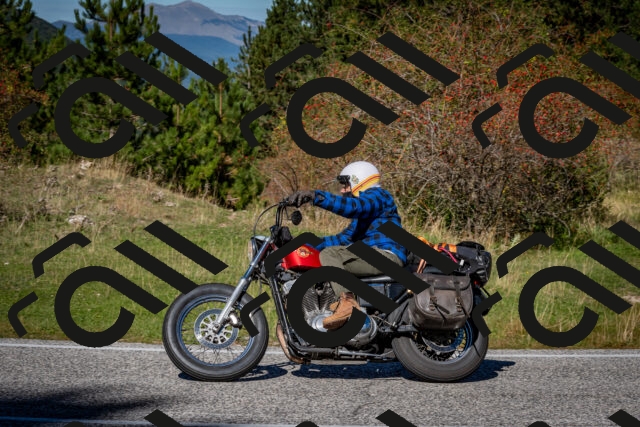 202510041211-DSC_7626_c2