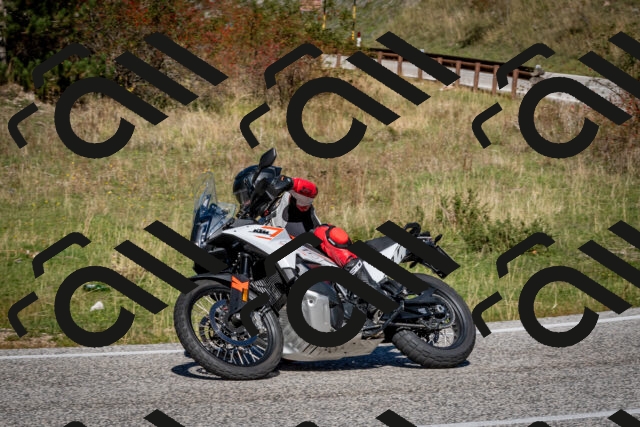 202510041212-DSC_7632_c2