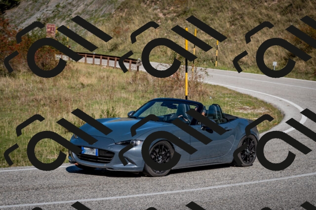 202510041212-DSC_7633_c2