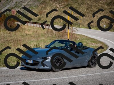 202510041212-DSC_7633_c2