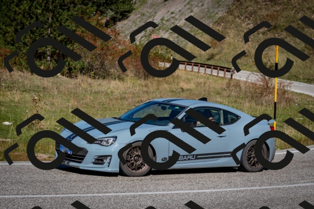 202510041212-DSC_7638_c2