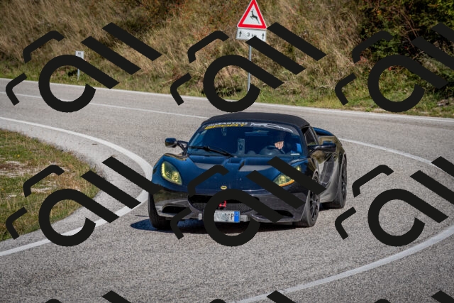 202510041212-DSC_7641_c2