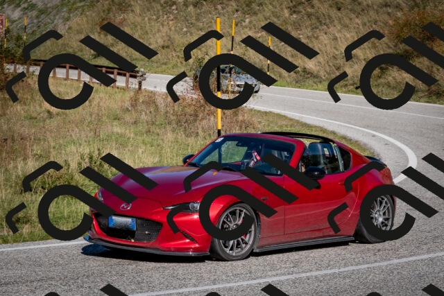 202510041212-DSC_7644_c2