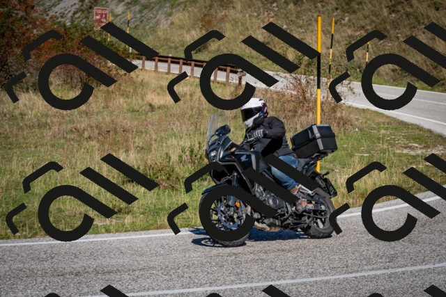 202510041212-DSC_7651_c2