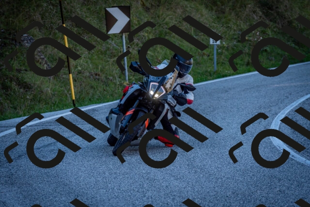 202510041213-DSC_7653_c2