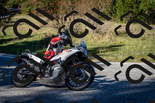 202510041213-DSC_7654_c2