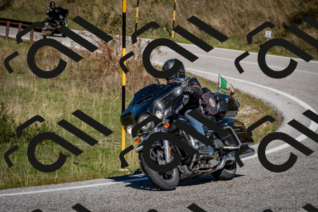 202510041213-DSC_7658_c2