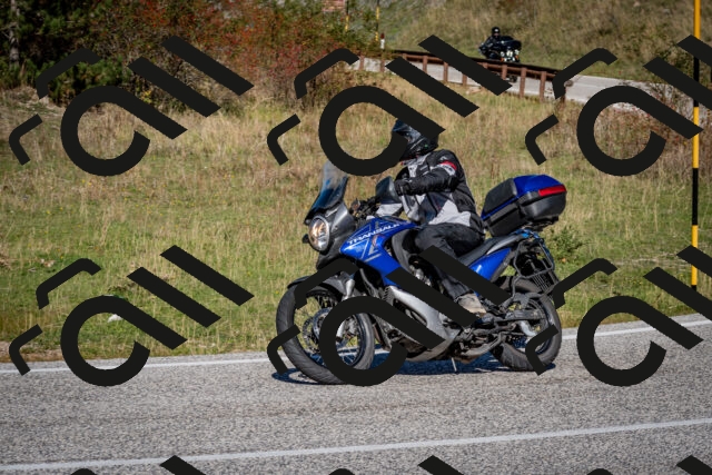 202510041213-DSC_7661_c2