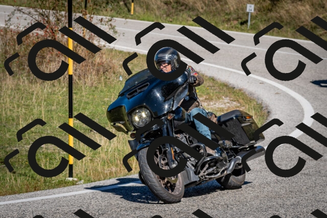 202510041214-DSC_7664_c2