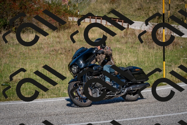 202510041214-DSC_7665_c2