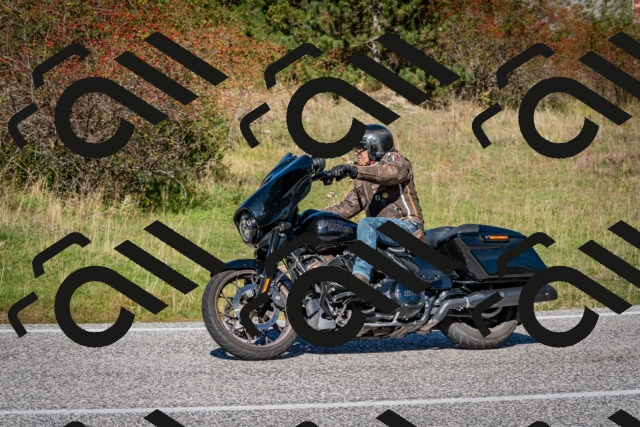 202510041214-DSC_7666_c2