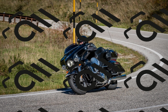 202510041214-DSC_7667_c2