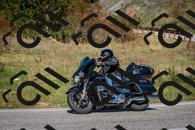 202510041214-DSC_7668_c2