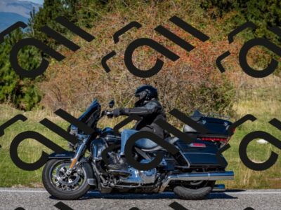 202510041214-DSC_7669_c2