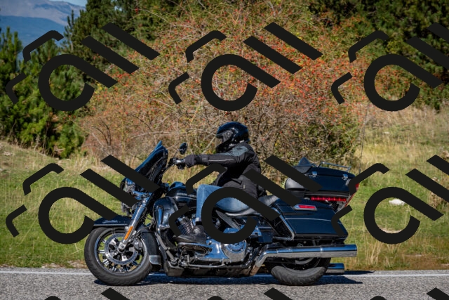 202510041214-DSC_7669_c2