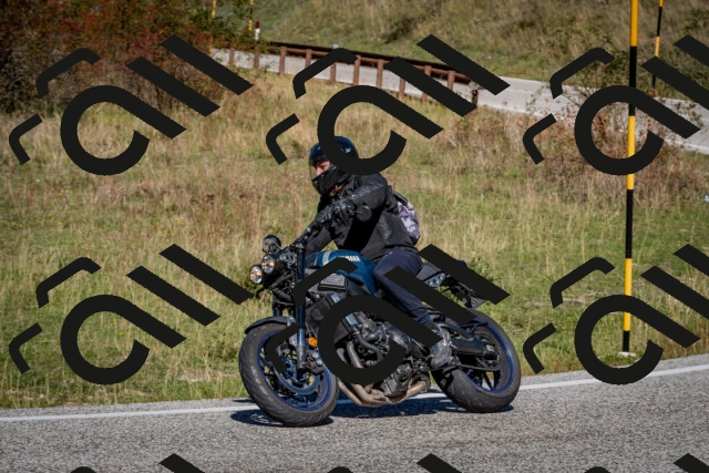 202510041214-DSC_7672_c2