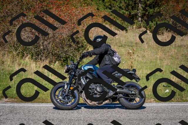 202510041214-DSC_7673_c2