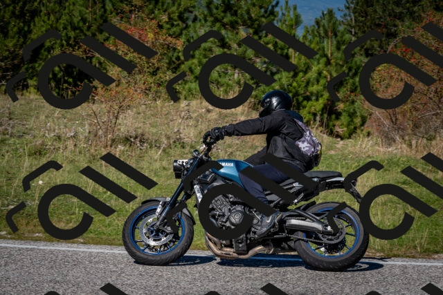 202510041214-DSC_7674_c2