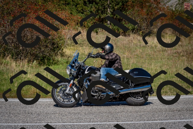 202510041214-DSC_7677_c2