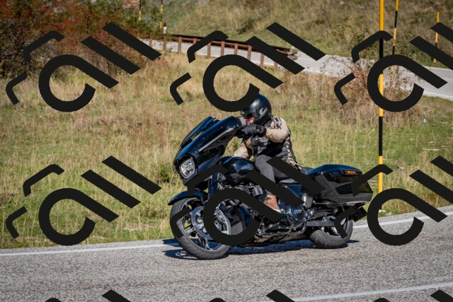 202510041214-DSC_7678_c2