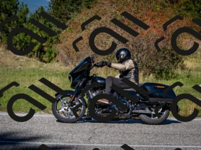 202510041214-DSC_7679_c2