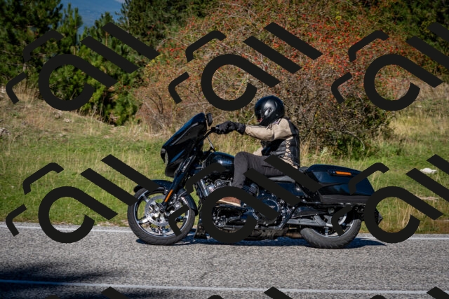 202510041214-DSC_7679_c2