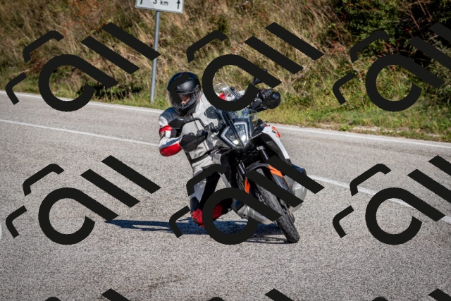 202510041214-DSC_7680_c2