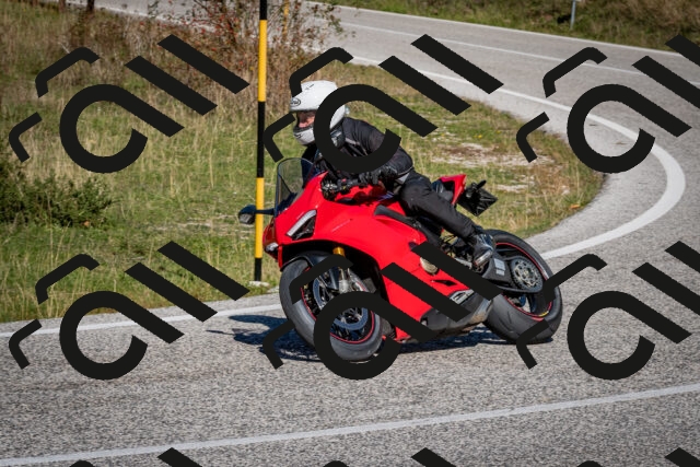 202510041216-DSC_7690_c2