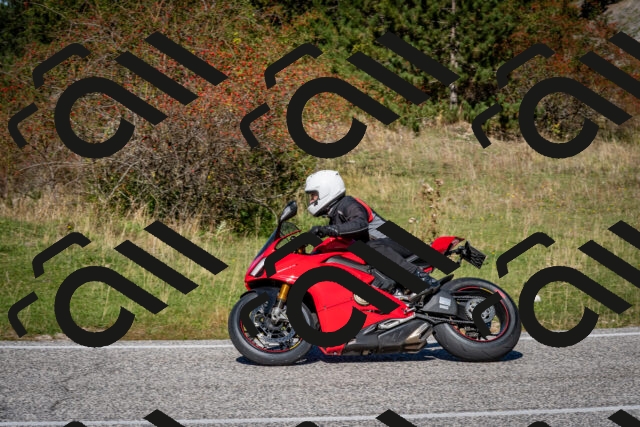 202510041216-DSC_7691_c2