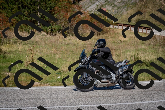 202510041216-DSC_7693_c2