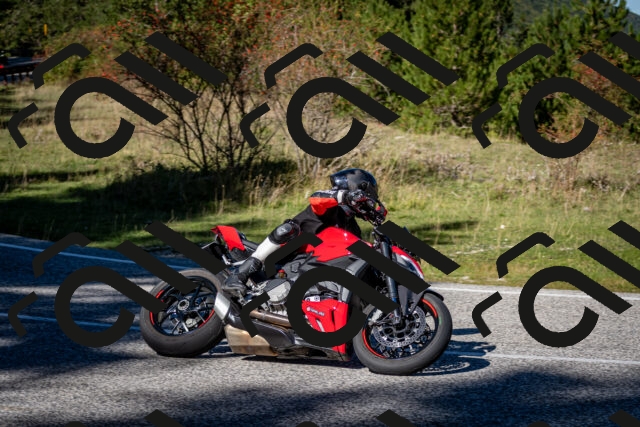 202510041218-DSC_7695_c2