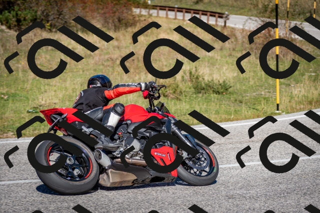 202510041218-DSC_7696_c2