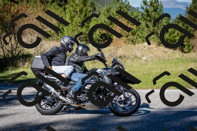 202510041218-DSC_7699_c2