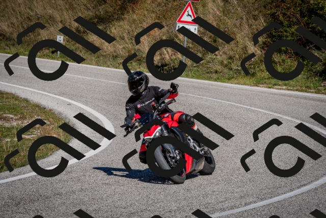 202510041219-DSC_7706_c2